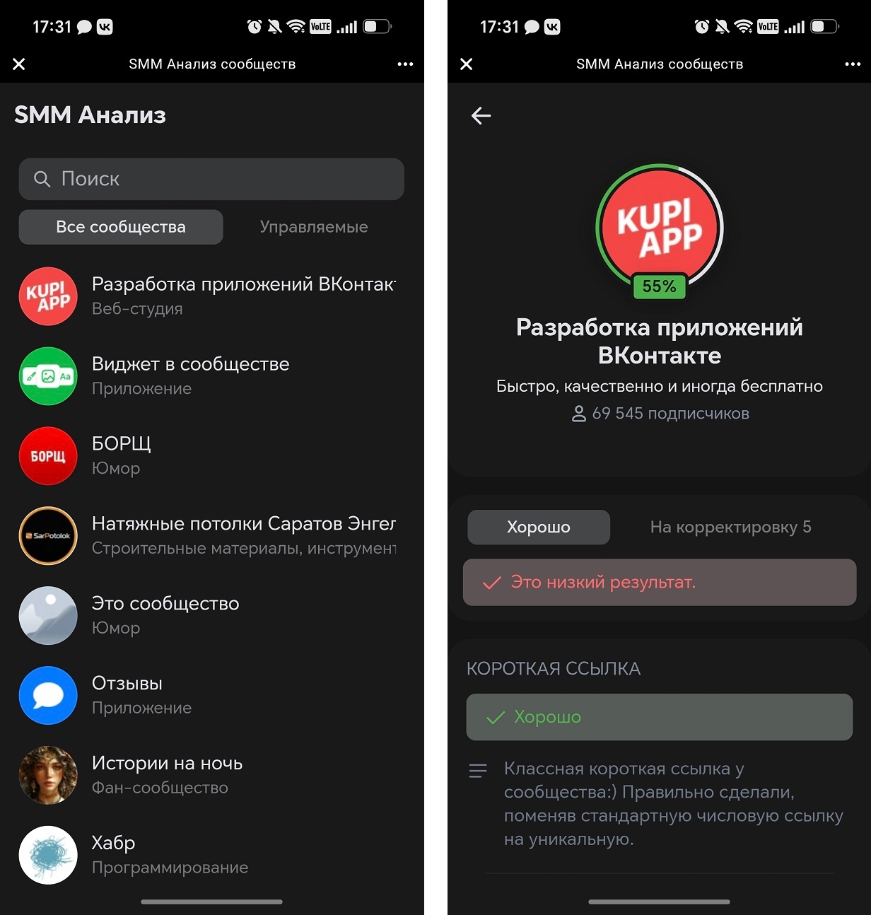 Интерфейс приложения «SMM-Анализ»